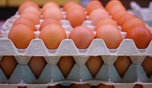 60 Egg Pack
